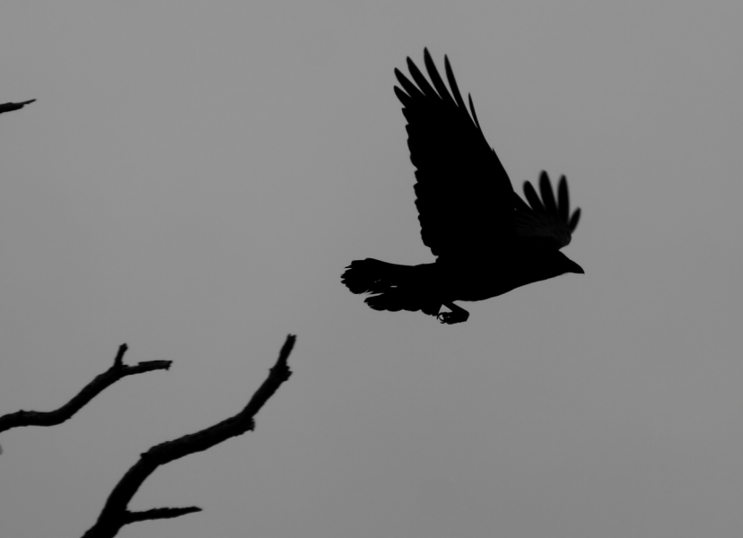 2012 05 03 1236ebw
